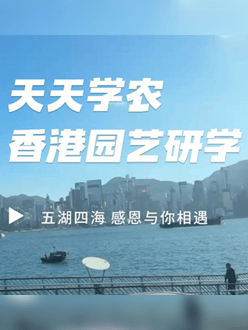 与香港园艺学会联合举办香港园艺研学，专业园境师带队讲解。